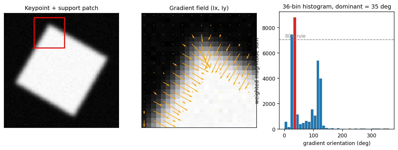 Gradient field and 36-bin orientation histogram