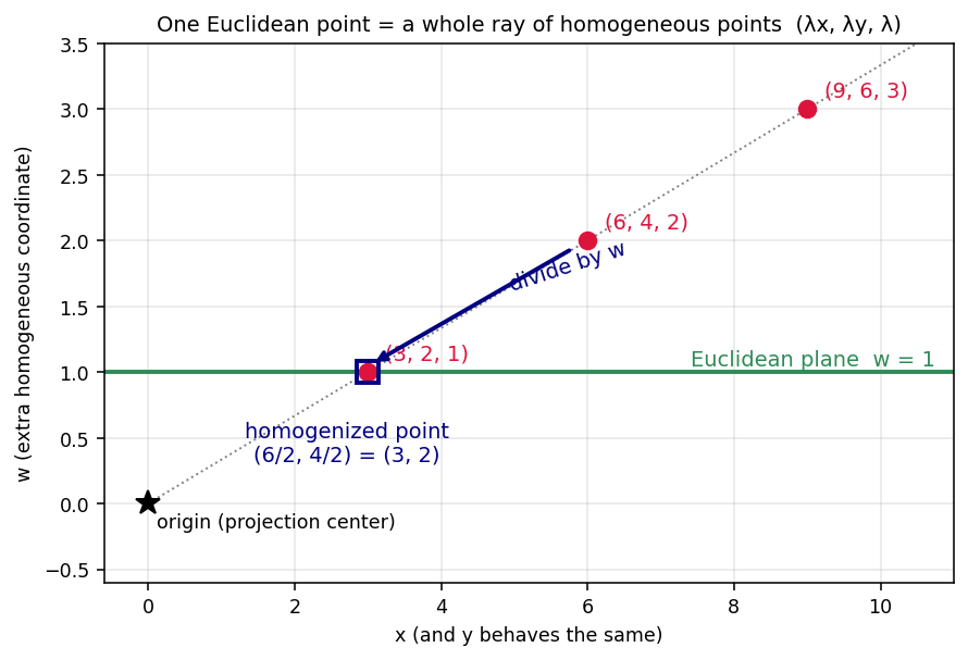 Homogeneous coordinates and the divide-by-w step