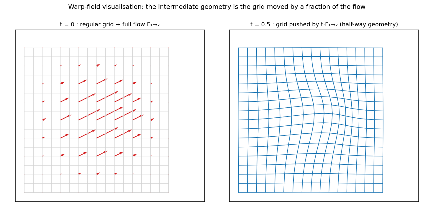 Warp field visualisation